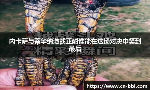 MK体育官方网站